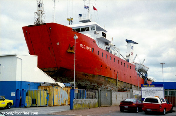 Olovaha 8018962 ID 875